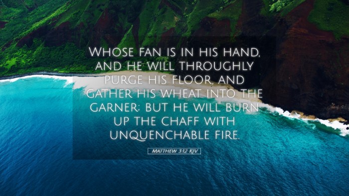 Picture 05 - Matthew 3:12 KJV Desktop Wallpaper - Whose fan is in his hand, and he will throughly - Desktop Bible Verse Wallpaper