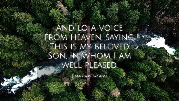 Picture 05 - Matthew 3:17 KJV Desktop Wallpaper - And lo a voice from heaven, saying, This is my - Desktop Bible Verse Wallpaper
