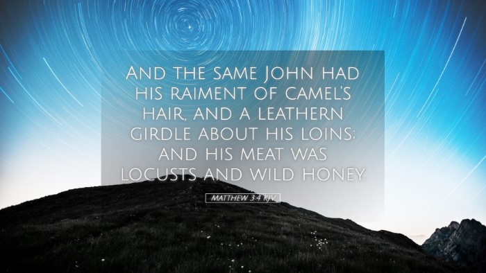 Picture 05 - Matthew 3:4 KJV Desktop Wallpaper - And the same John had his raiment of camel's - Desktop Bible Verse Wallpaper