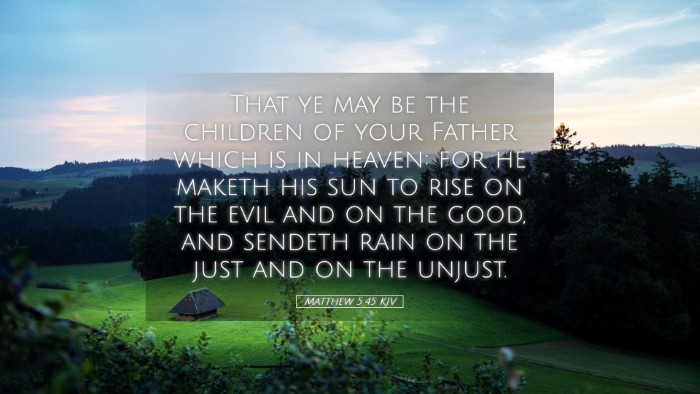 Picture 05 - Matthew 5:45 KJV Desktop Wallpaper - That ye may be the children of your Father which - Desktop Bible Verse Wallpaper