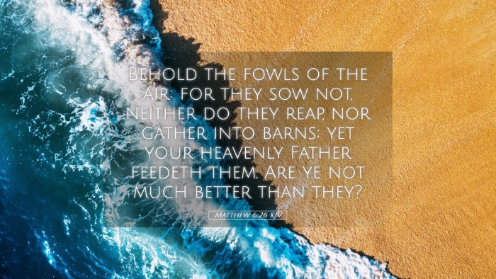 Picture 05 - Matthew 6:26 KJV Desktop Wallpaper - Behold the fowls of the air: for they sow not, - Desktop Bible Verse Wallpaper