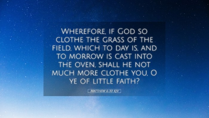 Picture 05 - Matthew 6:30 KJV Desktop Wallpaper - Wherefore, if God so clothe the grass of the - Desktop Bible Verse Wallpaper
