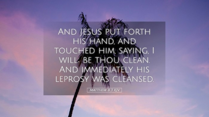 Picture 05 - Matthew 8:3 KJV Desktop Wallpaper - And Jesus put forth his hand, and touched him, - Desktop Bible Verse Wallpaper