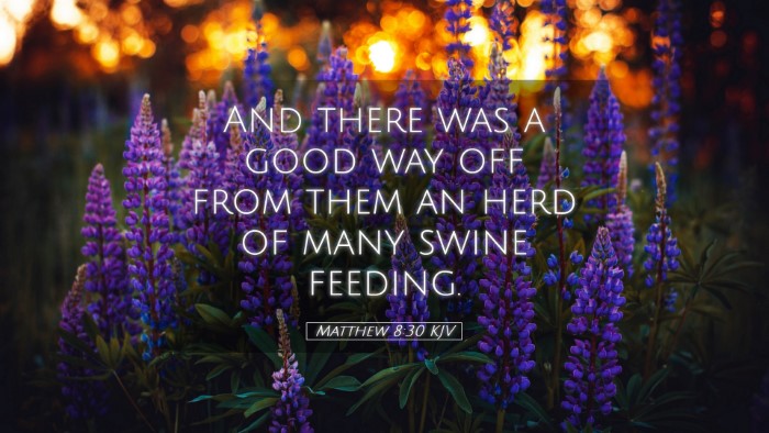 Picture 05 - Matthew 8:30 KJV Desktop Wallpaper - And there was a good way off from them an herd of - Desktop Bible Verse Wallpaper