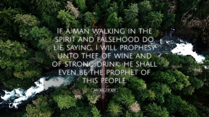 Picture 05 - Micah 2:11 KJV Desktop Wallpaper - If a man walking in the spirit and falsehood do - Desktop Bible Verse Wallpaper