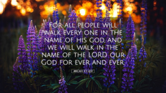 Picture 05 - Micah 4:5 KJV Desktop Wallpaper - For all people will walk every one in the name of - Desktop Bible Verse Wallpaper