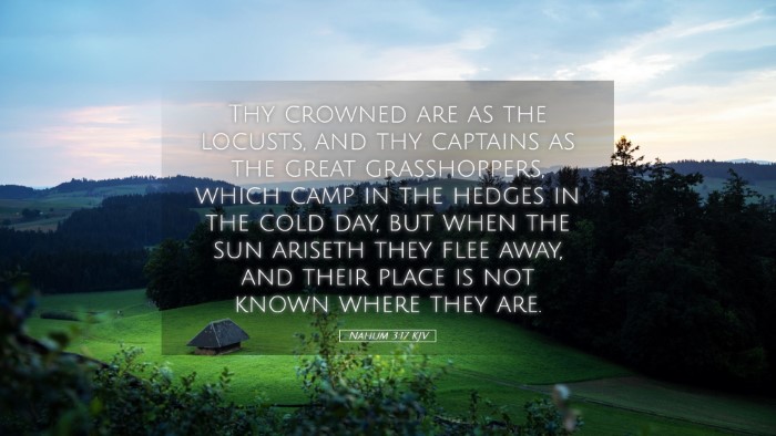 Picture 05 - Nahum 3:17 KJV Desktop Wallpaper - Thy crowned are as the locusts, and thy captains - Desktop Bible Verse Wallpaper