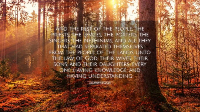 Picture 05 - Nehemiah 10:28 KJV Desktop Wallpaper - And the rest of the people, the priests, the - Desktop Bible Verse Wallpaper