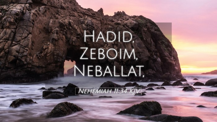 Picture 05 - Nehemiah 11:34 KJV Desktop Wallpaper - Hadid, Zeboim, - Desktop Bible Verse Wallpaper