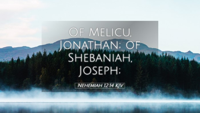 Picture 05 - Nehemiah 12:14 KJV Desktop Wallpaper - Of Melicu, Jonathan; of Shebaniah, - Desktop Bible Verse Wallpaper