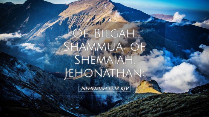 Picture 05 - Nehemiah 12:18 KJV Desktop Wallpaper - Of Bilgah, Shammua; of Shemaiah, - Desktop Bible Verse Wallpaper