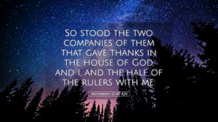 Picture 05 - Nehemiah 12:40 KJV Desktop Wallpaper - So stood the two companies of them that gave - Desktop Bible Verse Wallpaper