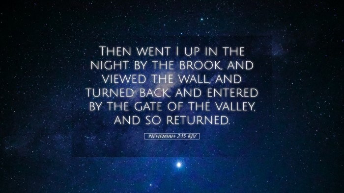 Picture 05 - Nehemiah 2:15 KJV Desktop Wallpaper - Then went I up in the night by the brook, and - Desktop Bible Verse Wallpaper