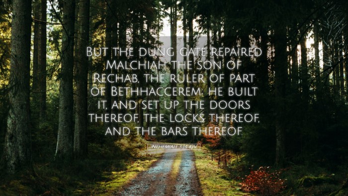 Picture 05 - Nehemiah 3:14 KJV Desktop Wallpaper - But the dung gate repaired Malchiah the son of - Desktop Bible Verse Wallpaper