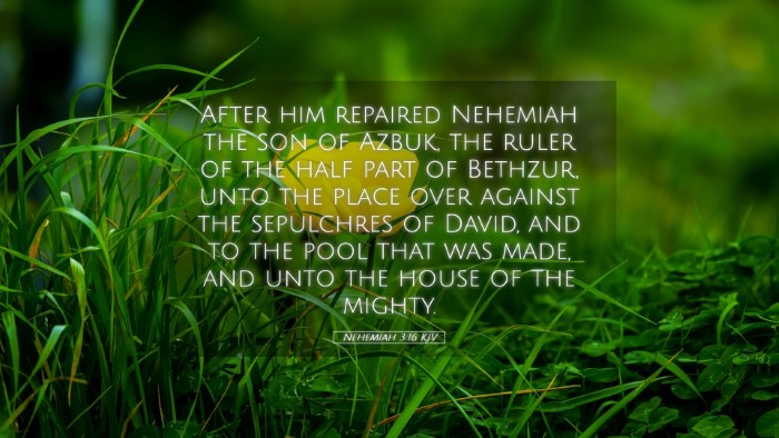 Picture 05 - Nehemiah 3:16 KJV Desktop Wallpaper - After him repaired Nehemiah the son of Azbuk, the - Desktop Bible Verse Wallpaper
