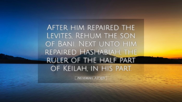 Picture 05 - Nehemiah 3:17 KJV Desktop Wallpaper - After him repaired the Levites, Rehum the son of - Desktop Bible Verse Wallpaper