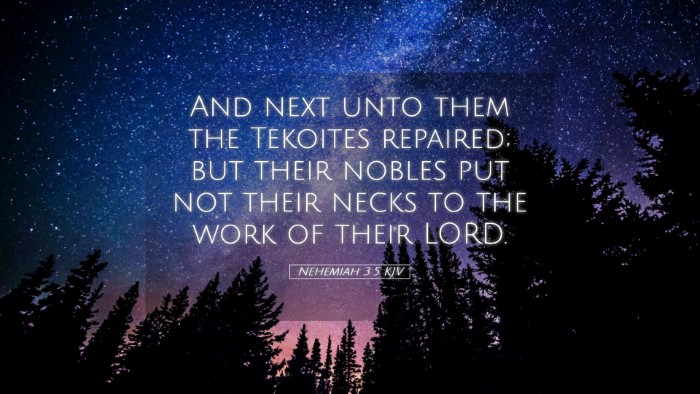 Picture 05 - Nehemiah 3:5 KJV Desktop Wallpaper - And next unto them the Tekoites repaired; but - Desktop Bible Verse Wallpaper