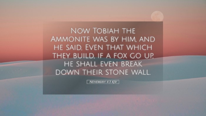 Picture 05 - Nehemiah 4:3 KJV Desktop Wallpaper - Now Tobiah the Ammonite was by him, and he said, - Desktop Bible Verse Wallpaper
