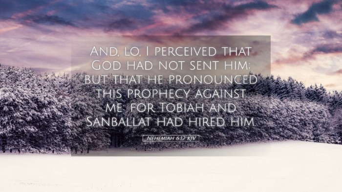 Picture 05 - Nehemiah 6:12 KJV Desktop Wallpaper - And, lo, I perceived that God had not sent him; - Desktop Bible Verse Wallpaper