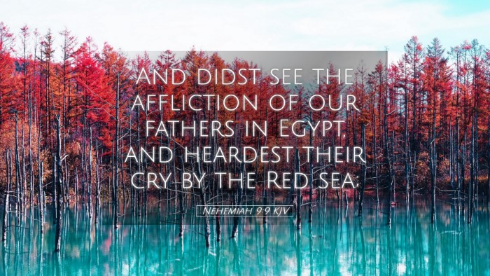 Picture 05 - Nehemiah 9:9 KJV Desktop Wallpaper - And didst see the affliction of our fathers in - Desktop Bible Verse Wallpaper