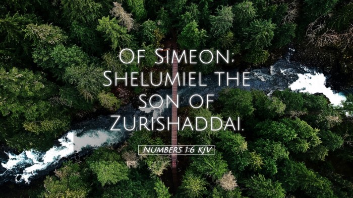 Picture 05 - Numbers 1:6 KJV Desktop Wallpaper - Of Simeon; Shelumiel the son of - Desktop Bible Verse Wallpaper