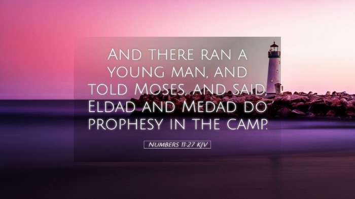 Picture 05 - Numbers 11:27 KJV Desktop Wallpaper - And there ran a young man, and told Moses, and - Desktop Bible Verse Wallpaper