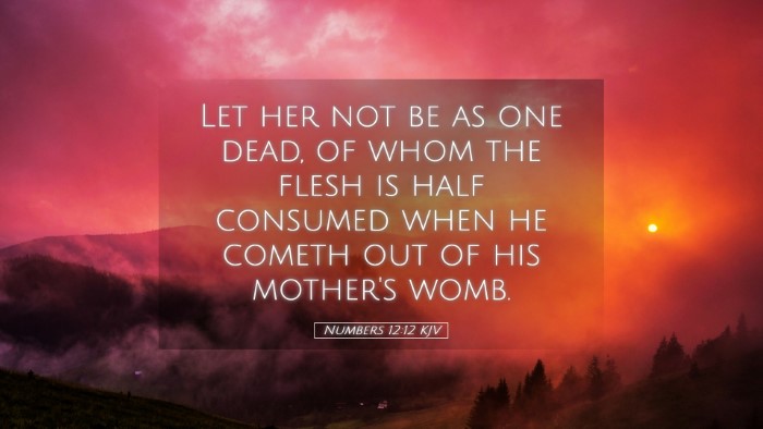 Picture 05 - Numbers 12:12 KJV Desktop Wallpaper - Let her not be as one dead, of whom the flesh is - Desktop Bible Verse Wallpaper