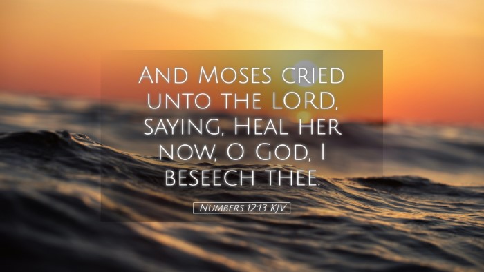 Picture 05 - Numbers 12:13 KJV Desktop Wallpaper - And Moses cried unto the LORD, saying, Heal her - Desktop Bible Verse Wallpaper