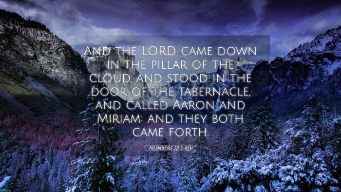 Picture 05 - Numbers 12:5 KJV Desktop Wallpaper - And the LORD came down in the pillar of the - Desktop Bible Verse Wallpaper