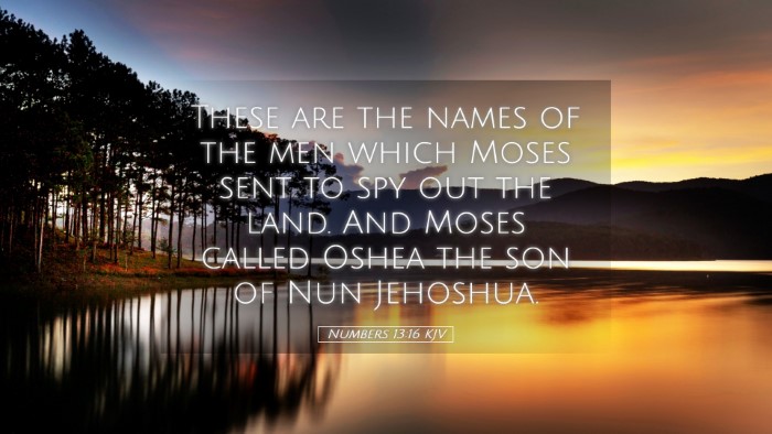 Picture 05 - Numbers 13:16 KJV Desktop Wallpaper - These are the names of the men which Moses sent - Desktop Bible Verse Wallpaper