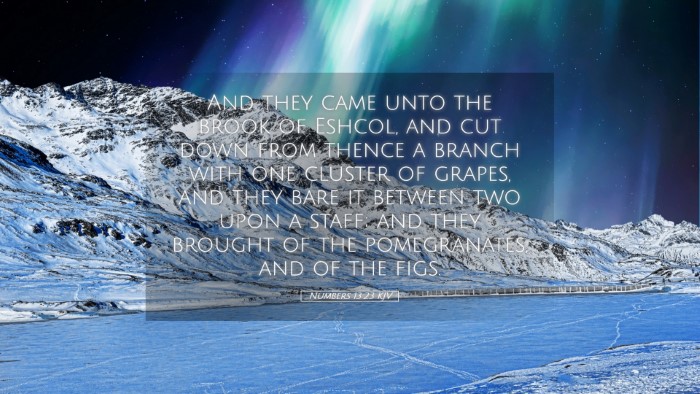 Picture 05 - Numbers 13:23 KJV Desktop Wallpaper - And they came unto the brook of Eshcol, and cut - Desktop Bible Verse Wallpaper