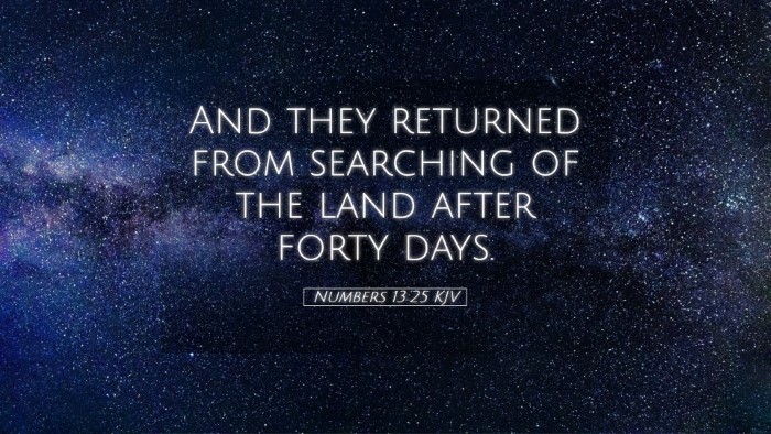 Picture 05 - Numbers 13:25 KJV Desktop Wallpaper - And they returned from searching of the land - Desktop Bible Verse Wallpaper