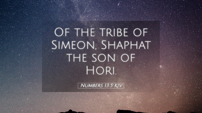 Picture 05 - Numbers 13:5 KJV Desktop Wallpaper - Of the tribe of Simeon, Shaphat the son of - Desktop Bible Verse Wallpaper