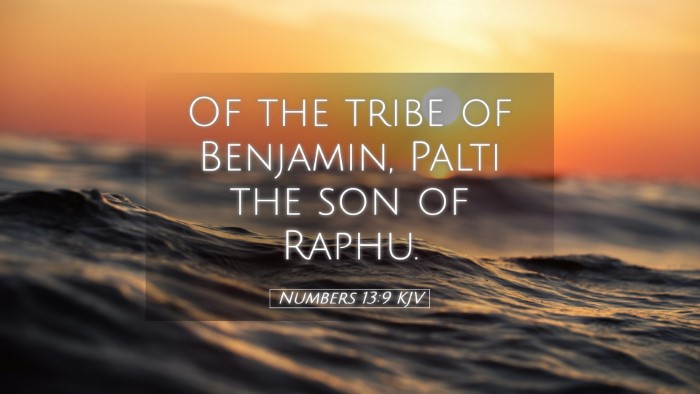 Picture 05 - Numbers 13:9 KJV Desktop Wallpaper - Of the tribe of Benjamin, Palti the son of - Desktop Bible Verse Wallpaper