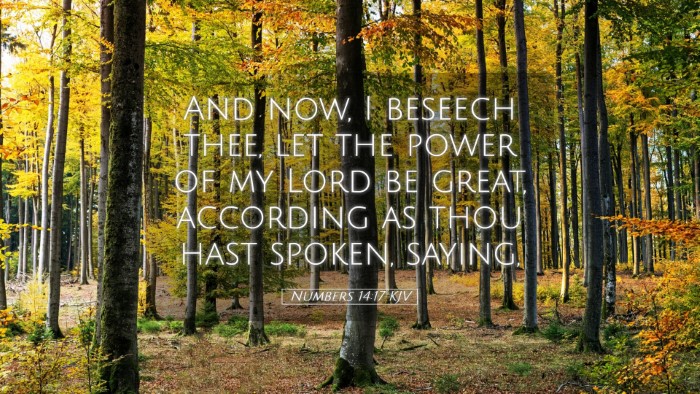 Picture 05 - Numbers 14:17 KJV Desktop Wallpaper - And now, I beseech thee, let the power of my Lord - Desktop Bible Verse Wallpaper