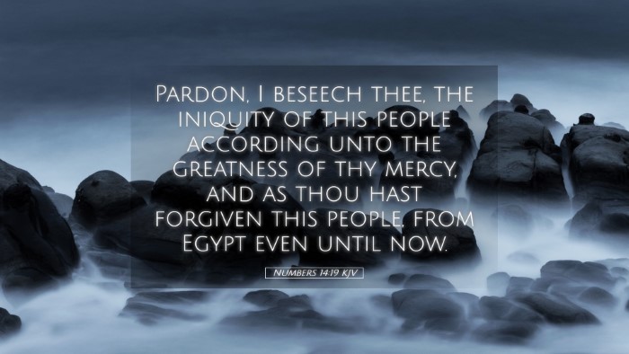 Picture 05 - Numbers 14:19 KJV Desktop Wallpaper - Pardon, I beseech thee, the iniquity of this - Desktop Bible Verse Wallpaper
