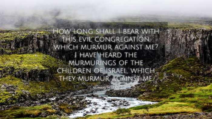 Picture 05 - Numbers 14:27 KJV Desktop Wallpaper - How long shall I bear with this evil - Desktop Bible Verse Wallpaper