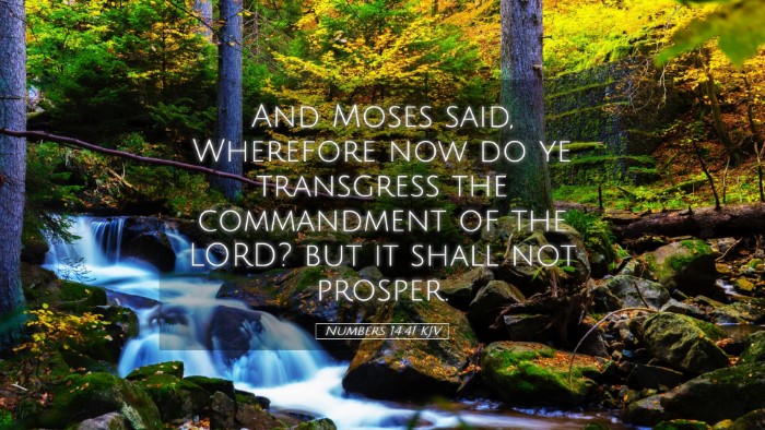 Picture 05 - Numbers 14:41 KJV Desktop Wallpaper - And Moses said, Wherefore now do ye transgress - Desktop Bible Verse Wallpaper