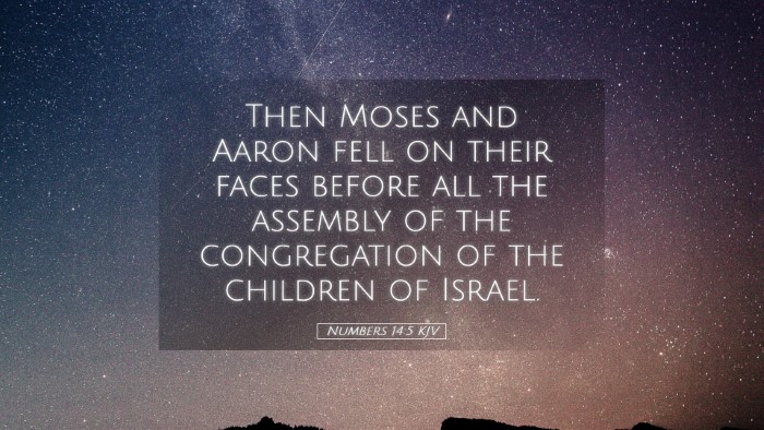 Picture 05 - Numbers 14:5 KJV Desktop Wallpaper - Then Moses and Aaron fell on their faces before - Desktop Bible Verse Wallpaper