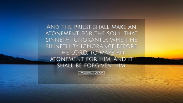 Picture 05 - Numbers 15:28 KJV Desktop Wallpaper - And the priest shall make an atonement for the - Desktop Bible Verse Wallpaper