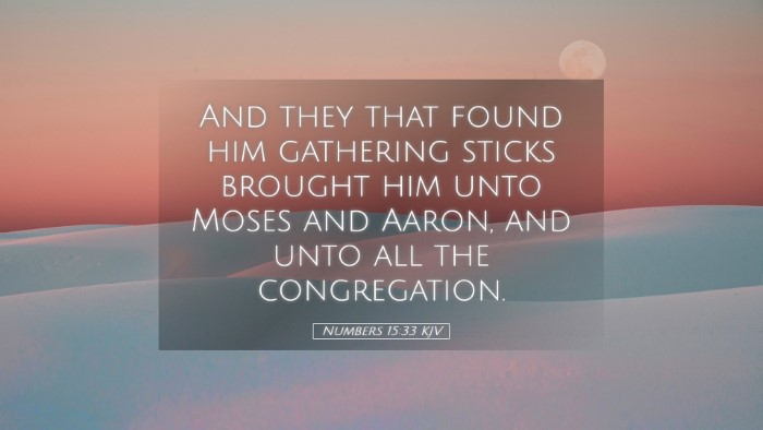 Picture 05 - Numbers 15:33 KJV Desktop Wallpaper - And they that found him gathering sticks brought - Desktop Bible Verse Wallpaper