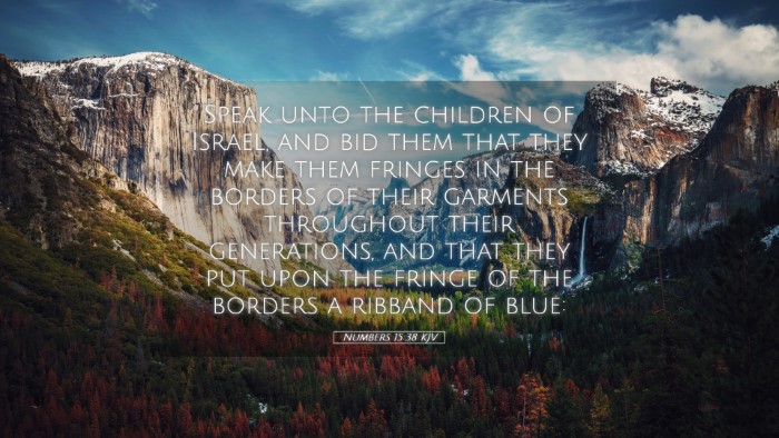 Picture 05 - Numbers 15:38 KJV Desktop Wallpaper - Speak unto the children of Israel, and bid them - Desktop Bible Verse Wallpaper