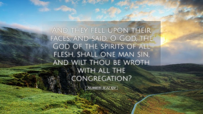 Picture 05 - Numbers 16:22 KJV Desktop Wallpaper - And they fell upon their faces, and said, O God, - Desktop Bible Verse Wallpaper