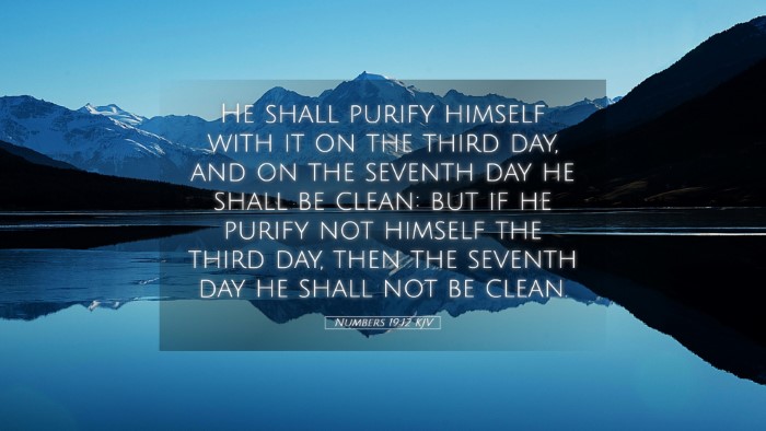 Picture 05 - Numbers 19:12 KJV Desktop Wallpaper - He shall purify himself with it on the third day, - Desktop Bible Verse Wallpaper