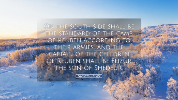 Picture 05 - Numbers 2:10 KJV Desktop Wallpaper - On the south side shall be the standard of the - Desktop Bible Verse Wallpaper