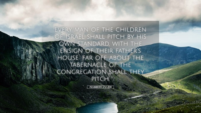 Picture 05 - Numbers 2:2 KJV Desktop Wallpaper - Every man of the children of Israel shall pitch - Desktop Bible Verse Wallpaper