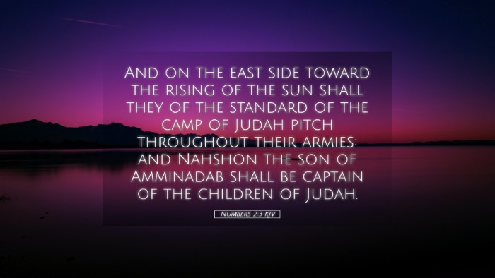 Picture 05 - Numbers 2:3 KJV Desktop Wallpaper - And on the east side toward the rising of the sun - Desktop Bible Verse Wallpaper