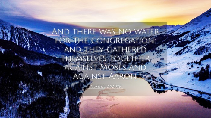 Picture 05 - Numbers 20:2 KJV Desktop Wallpaper - And there was no water for the congregation: and - Desktop Bible Verse Wallpaper