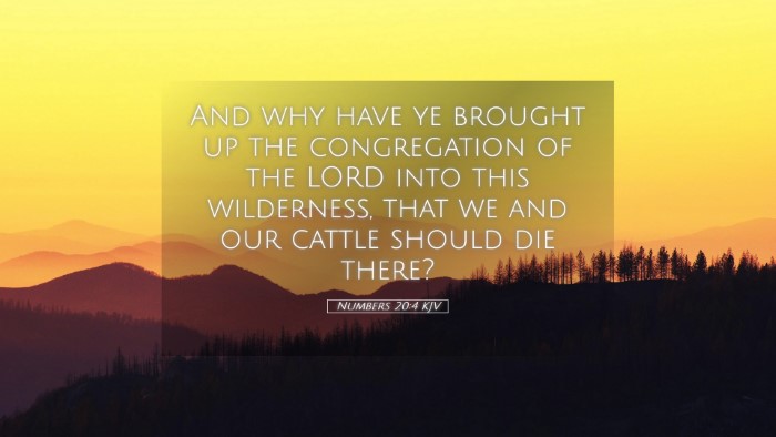 Picture 05 - Numbers 20:4 KJV Desktop Wallpaper - And why have ye brought up the congregation of - Desktop Bible Verse Wallpaper