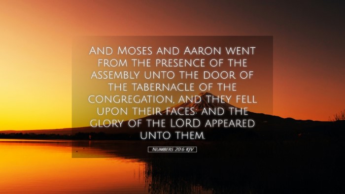 Picture 05 - Numbers 20:6 KJV Desktop Wallpaper - And Moses and Aaron went from the presence of the - Desktop Bible Verse Wallpaper